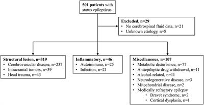 The Different Clinical Features Between Autoimmune and Infectious Status Epilepticus